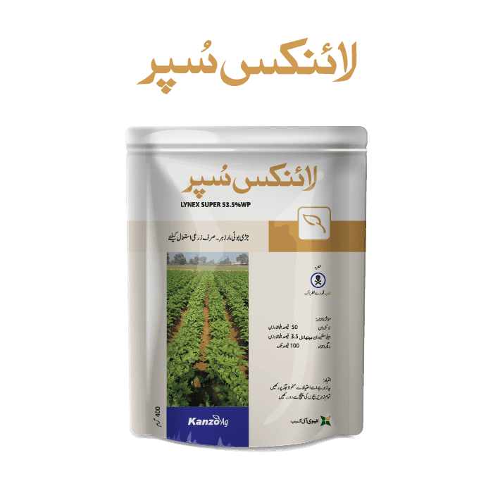 LYNEX SUPER pack