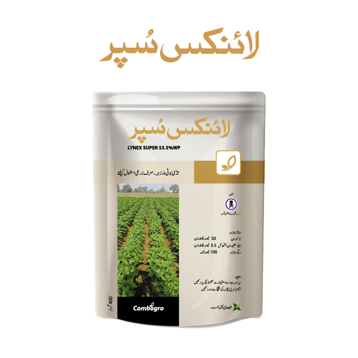 LYNEX SUPER pack